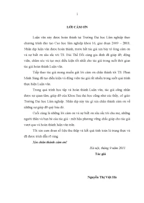 Luận văn thạc sĩ hay nghiên cứu ảnh hưởng của mật độ và tỉa thưa sinh trưởng và cơ cấu sản phẩm của lâm phần rừng trồng keo tai tượng acacia mangium