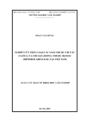 Luận văn thạc sĩ hay nghiên cứu phân loại các loài thuộc chi táu vatica và chi sao hopea thuộc họ dầu