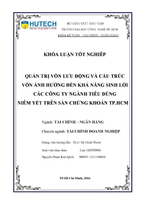 Luận văn thạc sĩ hay quản trị vốn lưu động và cấu trúc vốn ảnh hưởng đến khả năng sinh lời các công ty ngành tiêu dùng niêm yết trên sàn chứng khoán tp hcm
