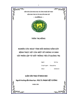 Luận văn thạc sĩ hay nghiên cứu hoạt tính đối kháng nấm gây bệnh thực vật của một số chủng vi sinh vật phân lập từ đất trồng tiêu ở quảng trị
