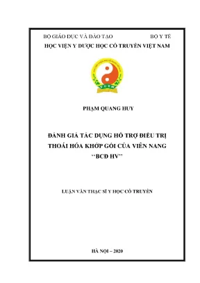 Luận văn thạc sĩ y học đánh giá tác dụng hỗ trợ điều trị thoái hóa khớp gối của viên nang bcđ hv