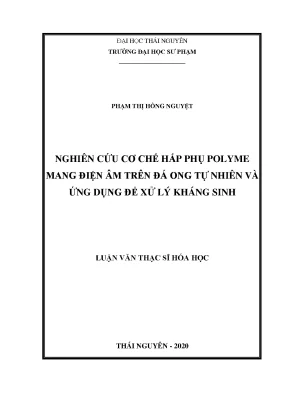 Luận văn thạc sĩ hay nghiên cứu cơ chế hấp phụ polyme mang điện âm trên đá ong tự nhiên và ứng dụng để xử lý kháng sinh