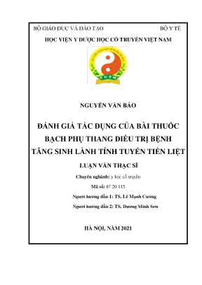 Luận văn thạc sĩ y học đánh giá tác dụng của bài thuốc bạch phụ thang điều trị bệnh tăng sinh lành tính tuyến tiền liệt