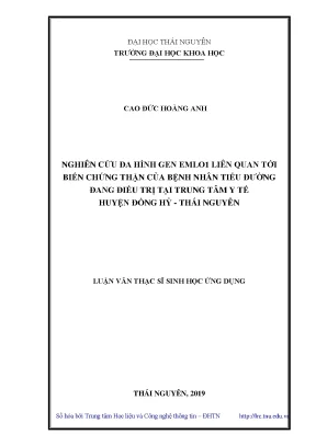 Luận văn thạc sĩ hay nghiên cứu đa hình gen emloi liên quan tới biến chứng thận của bệnh nhân tiểu đường đang điều trị tại trung tâm y tế huyện đồng hỷ thái nguyên