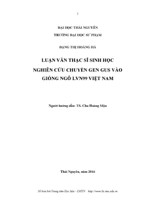Luận văn thạc sĩ hay nghiên cứu chuyển gen gus vào giống ngô lvn99 việt nam