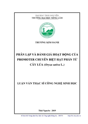 Luận văn thạc sĩ hay phân lập và đánh giá hoạt động của promoter chuyên biệt hạt phấn từ cây lúa oryza sativa l