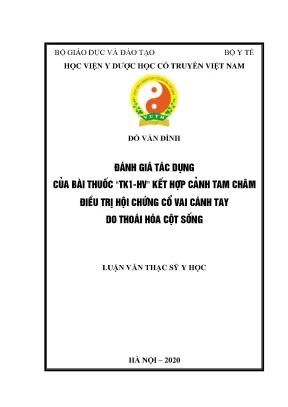 Luận văn thạc sĩ y học đánh giá tác dụng của bài thuốc tk1hv kết hợp cảnh tam châm điều trị hội chứng cổvaicánh tay do thoái hóa cột sống