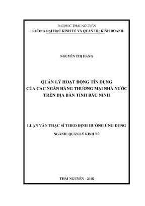 Luận văn thạc sĩ hay quản lý hoạt động tín dụng của các ngân hàng thương mại nhà nướctrên địa bàn tỉnh bắc ninh