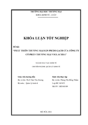 Khóa luận phát triển thương mại sản phẩm gạch của công ty cptm viglacera