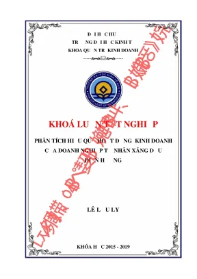 Khóa luận phân tích hiệu quả hoạt động kinh doanh xăng dầu của doanh nghiệp tư nhân xăng dầu điền hương để nghiên cứu