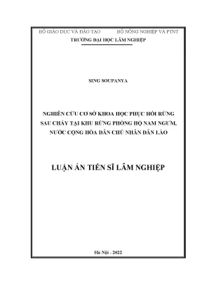 Luận án tiến sĩ nghiên cứu cơ sở khoa học phục hồi rừng sau cháy tại khu rừng phòng hộ nam ngưng nước cộng hòa dân chủ nhân dân lào