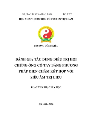 Luận văn thạc sĩ y học đánh giá tác dụng điều trị hội chứng ống cổ tay bằng phương pháp điện châm kết hợp với siêu âm trị liệu