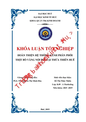 Khóa luận hoàn thiện hệ thống kênh phân phối thịt bò vàng nội địa tại thừa thiên huế