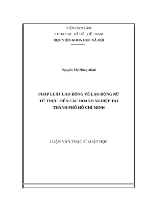 Luận văn thạc sỹ pháp luật lao động về lao động nữ từ thực tiễn các doanh nghiệp tại thành phố hồ chí minh