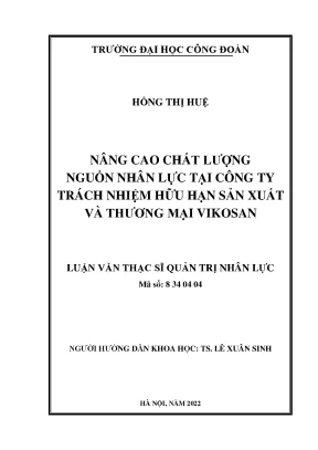Nâng cao chất lượng nguồn nhân lực tại công ty trách nhiệm hữu hạn sản xuất và thương mại vikosan