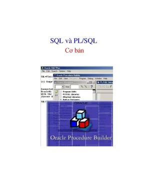 Sql va pl sql c bn oracle c bn sql v