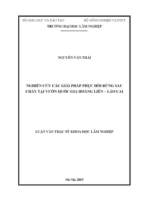 Luận văn thạc sĩ hay nghiên cứu các giải pháp phục hồi rừng sau cháy tại vườn quốc gia hoàng liên lào cai