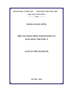 Hiệu quả hoạt động kinh doanh của ngân hàng tmcp bắc á luận án tiến sĩ kinh tế hà nội 2022