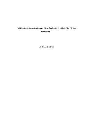 Luận văn thạc sĩ hay nghiên cứu đa dạng sinh học của hải miên porifera tại đảo cồn cỏ tỉnh quảng trị