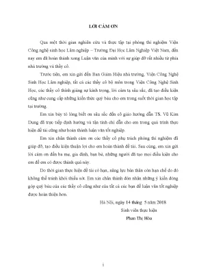 2018 59 cnsh phan thi hoa