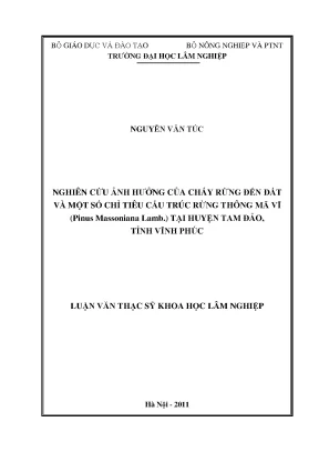 Luận văn thạc sĩ hay nghiên cứu ảnh hưởng của cháy rừng đến đất và một số chỉ tiêu cấu trúc rừng thông mã vĩ pinus massoniana lamb tại huyện tam đảo tỉnh vĩnh phúc
