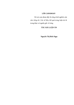 Luận án tiến sĩ file word quản lý hoạt động bồi dưỡng cán bộ quản lý các trường trung học phổ thông vùng đồng bằng sông hồng đáp ứng yêu cầu đổi mới giáo dục