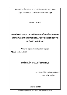 Luận văn thạc sĩ hay nghiên cứu chọn tạo giống hoa đồng tiền gerbera jamesonii bằng phương pháp đột biến kết hợp với nuôi cấy mô tế bào