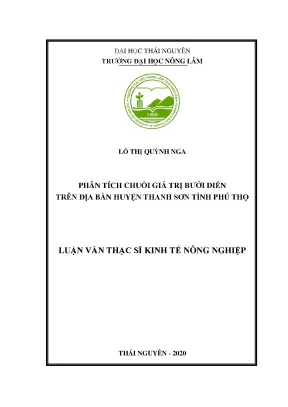 Luận văn thạc sĩ hay phân tích chuỗi giá trị bưởi diễn trên địa bàn huyện thanh sơn tỉnh phú thọ