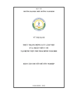 Thực trạng động lực làm việc của nhân viên y tế tại bệnh viện nhi thái bình năm 2022