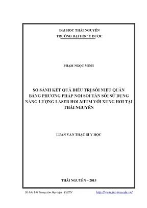 Luận văn thạc sĩ hay so sánh kết quả điều trị sỏi niệu quản bằng phương pháp nội soi tán sỏi sử dụng năng lượng laser holmium với xung hơi tại thái nguyên