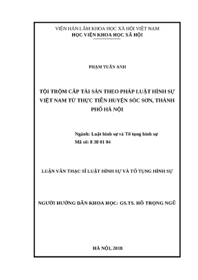 Luận văn thạc sỹ tội trộm cắp tài sản theo pháp luật hình sự việt nam từ thực tiễn huyện sóc sơn thành phố hà nội