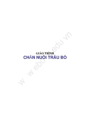Giáo trình chăn nuôi trâu bò