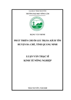 Luận văn thạc sĩ hay phát triển chuỗi giá trị ba kích tím huyện ba chẽ tỉnh quảng ninh