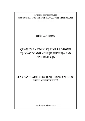 Luận văn thạc sĩ hay quản lý an toàn vệ sinh lao động tại các doanh nghiệp trên địa bàn tỉnh bắc kạn