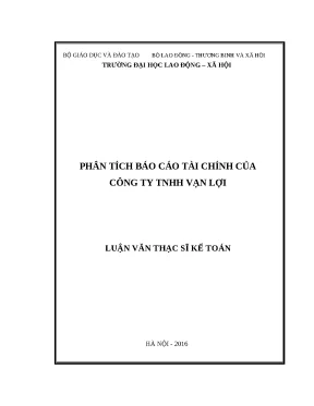 Luận văn thạc sỹ phân tích báo cáo tài chính của công ty tnhh vạn lợi
