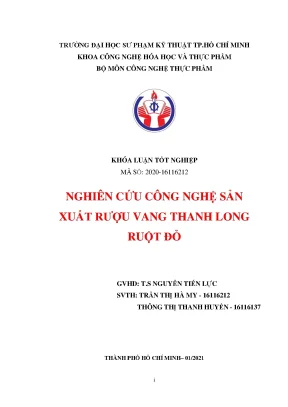 Khóa luận tốt nghiệp nghiên cứu công nghệ sản xuất rượu vang thanh long ruột đỏ