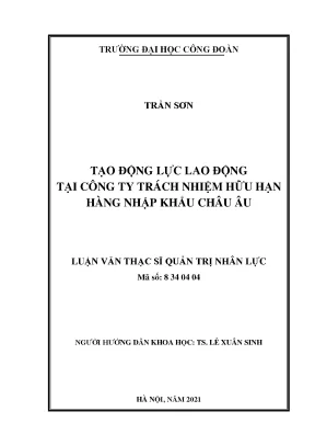 Luận văn thạc sĩ quản trị nhân lực tạo động lực lao động tại công ty trách nhiệm hữu hạn hàng nhập khẩu châu âu
