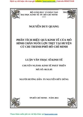 Phân tích hiệu quả kinh tế của mơ hình chăn nuôi lợn thịt tại huyện củ chi thành phố hồ chí minh luận văn thạc sĩ kinh tế chuyên ngành kinh tế phát triển