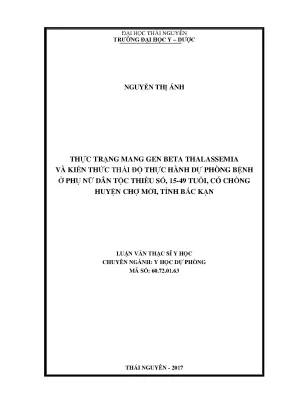 Luận văn thạc sĩ hay thực trạng mang gen beta thalassemia và kiến thức thái độ thực hành dự phòng bệnh ở phụ nữ dân tộc thiểu số 15 49 tuổi có chồng huyện chợ mới tỉnh bắc kạn