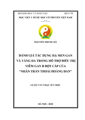 Luận văn thạc sĩ y học đánh giá tác dụng hạ men gan và vàng da trong hỗ trợ điều trị viêm gan b đợt cấp của