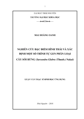 Luận văn thạc sĩ hay nghiên cứu đặc điểm hình thái và xác định một số trình tự gen phân loại cây sói rừng sarcandra glabra thunb nakai