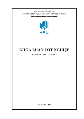 Khóa luận hoàn thiện công tác kế toán nguyên vật liệu tại công ty tnhh miki industry việt nam