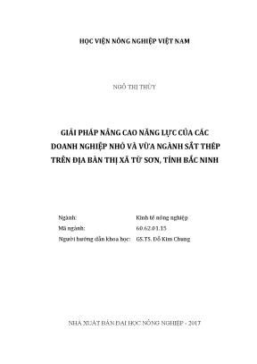 Luận văn thạc sĩ vnua giải pháp nâng cao năng lực của các doanh nghiệp nhỏ và vừa ngành sắt thép trên địa bàn thị xã từ sơn tỉnh bắc ninh