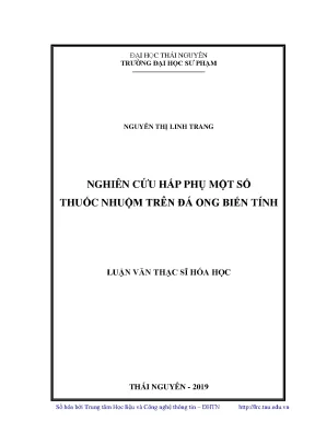 Luận văn thạc sĩ hay luận văn thạc sĩ nghiên cứu hấp phụ một số thuốc nhuộm trên đá ong biến tính