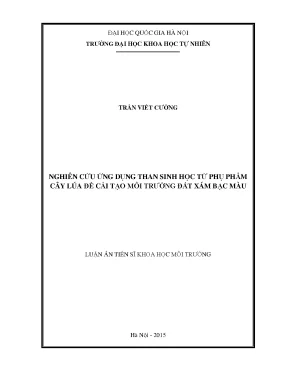 Luận án tiến sĩ hus nghiên cứu ứng dụng than sinh học từ phụ phẩm cây lúa để cải tạo môi trường đất xám bạc màu
