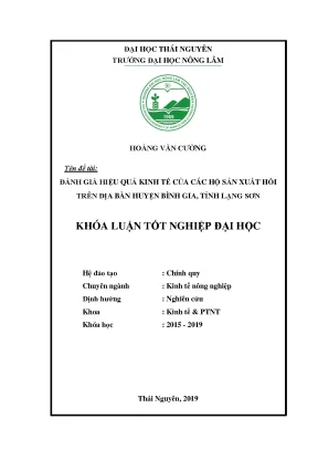 Luận văn thạc sĩ hay đánh giá hiệu quả kinh tế của các hộ sản xuất hồi trên địa bàn huyện bình gia tỉnh lạng sơn