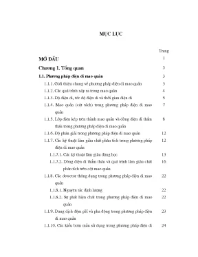 Luận án tiến sĩ hus nghiên cứu xác định các dạng asen vô cơ trong nước ngầm bằng phương pháp điện di mao quản sử dụng detector độ dẫn không tiếp xúc 001