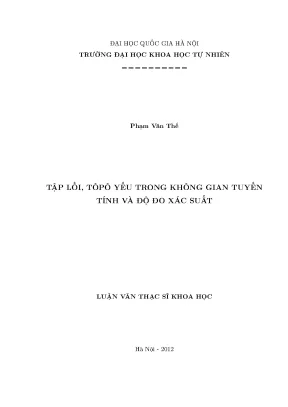 Luận văn thạc sĩ hus tập lồi tôpô yếu trong không gian tuyến tính và độ đo xác suất