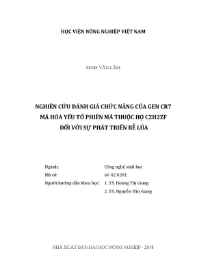 Luận văn thạc sĩ vnua nghiên cứu đánh giá chức năng của gen cr7 mã hóa yếu tố phiên mã thuộc họ c2h2zf đối với sự phát triển rễ lúa