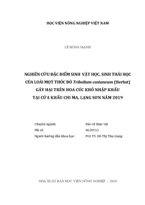 Luận văn thạc sĩ vnua nghiên cứu đặc điểm sinh vật học sinh thái học của loài mọt thóc đỏ tribolium castaneum herbst gây hại trên hoa cúc khô nhập khẩu tại cửa khẩu chi ma lạng sơn năm 2019